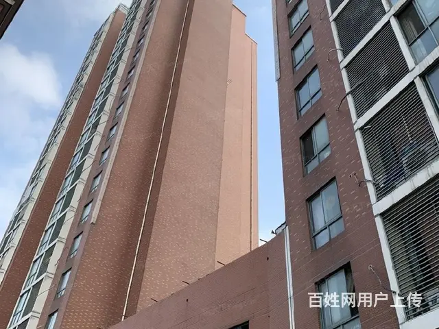 南北通透 世府邻里中心 98平大2房 新北空置 急售 - 图片 12
