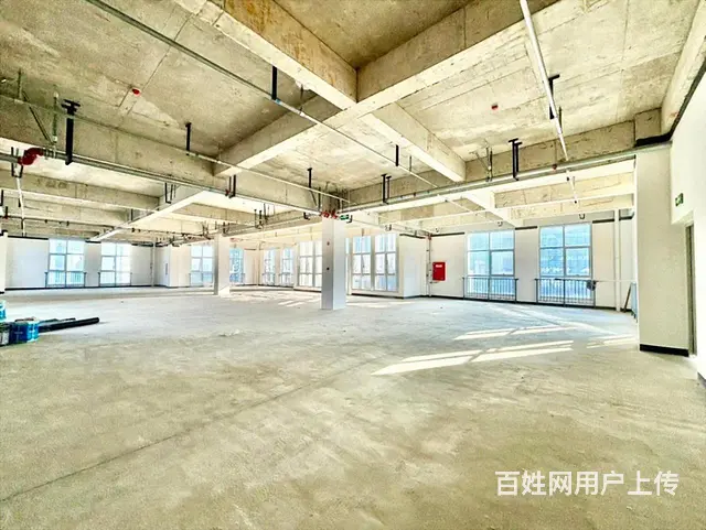 怡心湖 独栋出售 价格好谈 带车库 超小公摊 户型方正 - 图片 2
