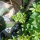 毕节县市全域专车清理化粪池高压疏通污水转运可接乡镇