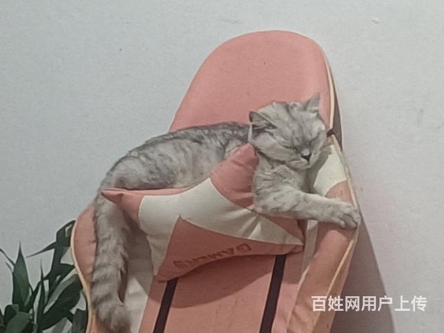 搭车冬天打不着火来找我的图片