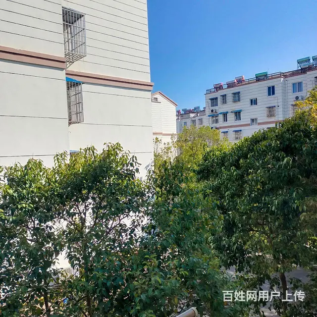 邳州市铁路小区住房出租 - 图片 1