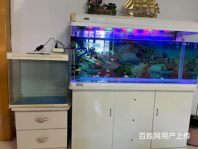 两个9成新以上鱼缸 - 图片