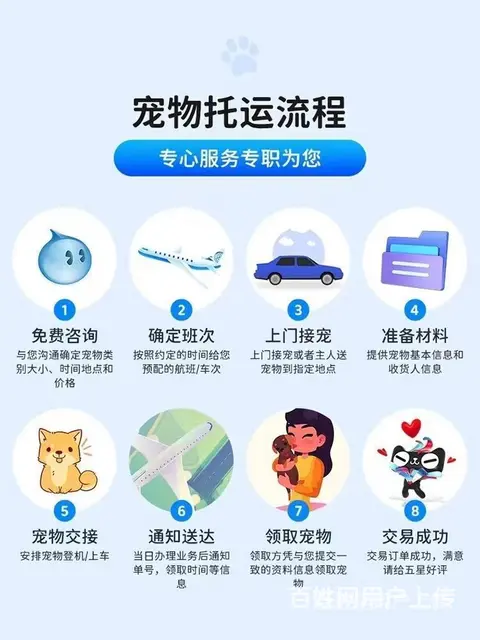 徐州丰县托运宠物 （猫狗活体运输）快递至全国各地 - 图片 2