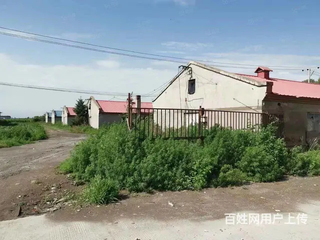 呼兰长岭村厂房出租 - 图片 1