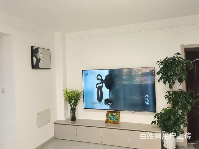 全新精装首次出租 - 图片 5