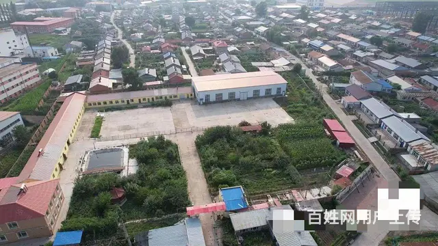 阿城区舍利街厂房别墅出售 - 图片 1