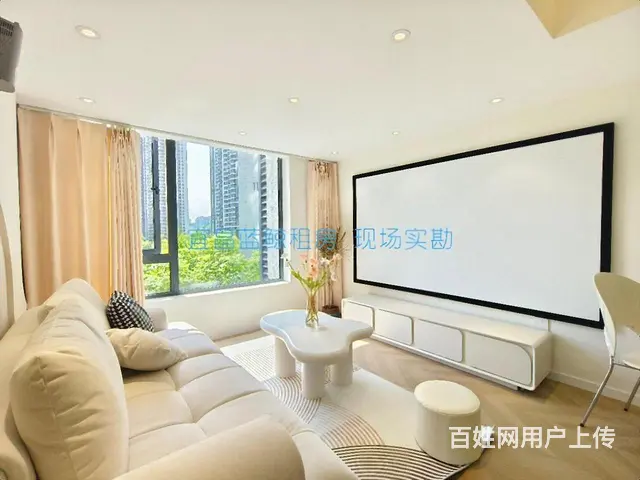 五一广场！东站旁！万豪！网红民宿风 密码锁免费看房 - 图片 4