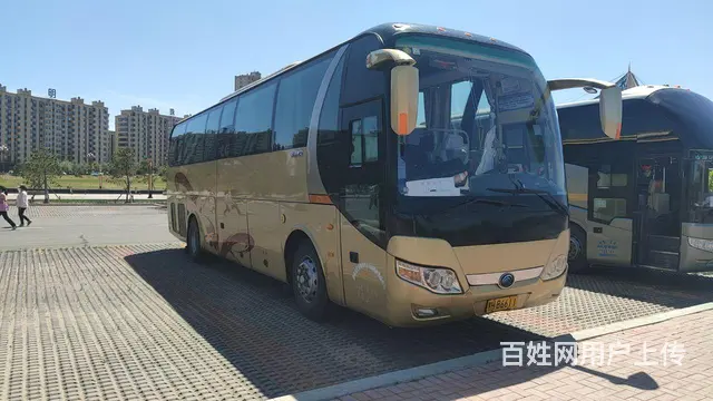 旅游大巴租赁（无区域限制） - 图片 2