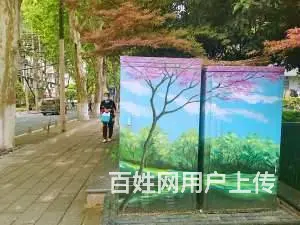 阳江墙面彩绘材质,广东外墙手工墙画 - 图片
