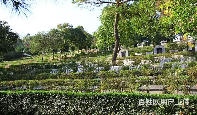 乌鲁木齐米泉市北郊公墓,地址是在什么地方,电话多少 - 图片 5