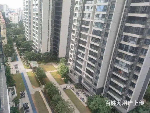 海德路   星华海德豪庭3房 - 图片 12