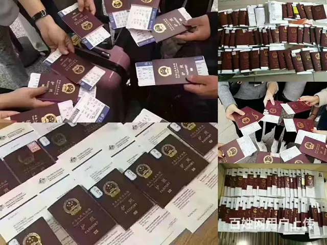 《实力保签》出国劳务工作签60W《正规快捷》 - 图片 3