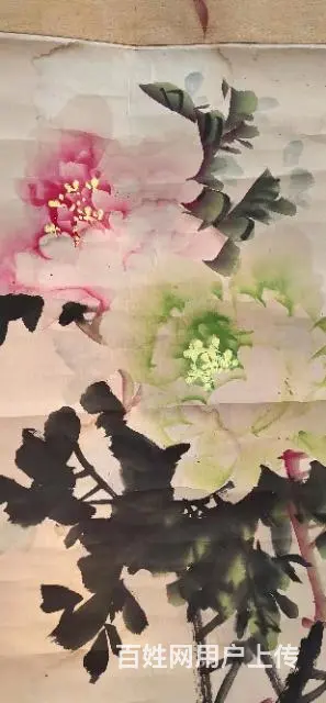 国色牡丹 - 图片 5
