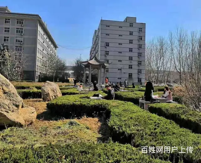 临沂卫校有哪些专业 - 图片 2
