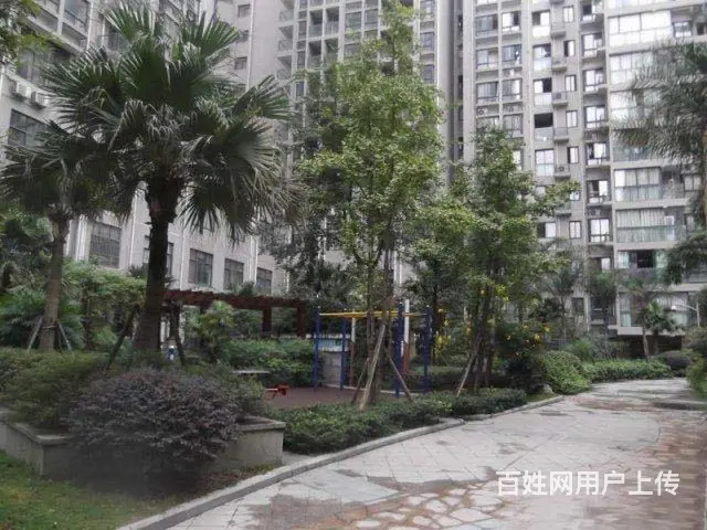 二环高笋塘地铁房紫金乐章房东直租！精装标间 拎包入住 无中介 - 图片 11