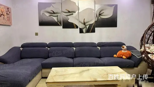 丽景苑，143平大三房，养老楼层设施齐全，有钥匙 - 图片 5