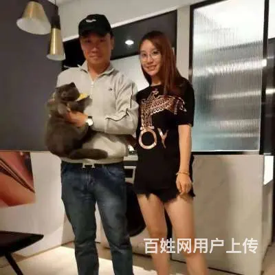 台州猫猫跳楼了怎么办，全职业找猫找狗团队 - 图片 3