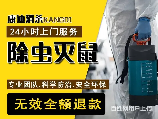 康迪虫控|专业灭鼠|杀蟑螂|除虫除蚁|上门服务 - 图片 1