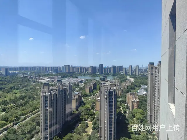 金龙湖地铁口1000平明阳广场一手纯办公现房 - 图片 10