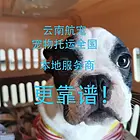 云南本地商家不是中介，飞机火车汽车宠物托运全国