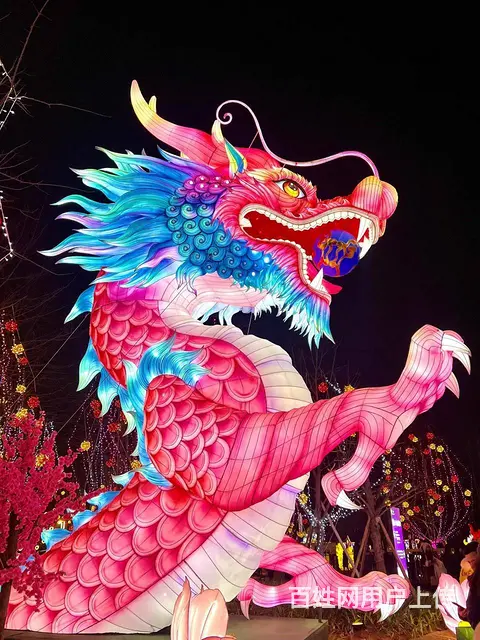 2025花灯制作出租出售 - 图片 5