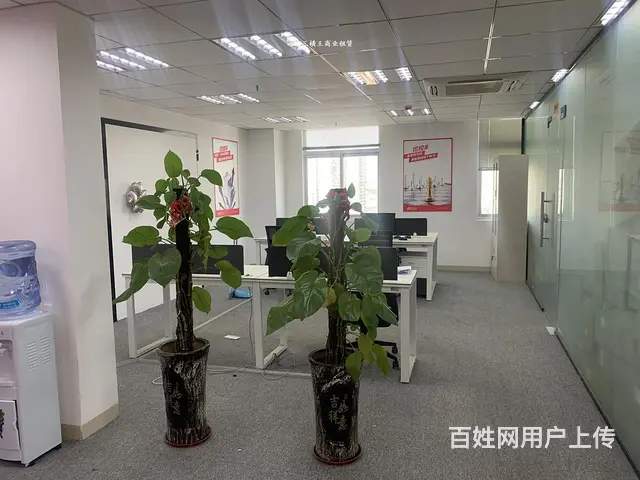 （三横王）龙华中心区196平直租，管理得当； - 图片 6