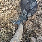 齐河化粪池清理多少钱+