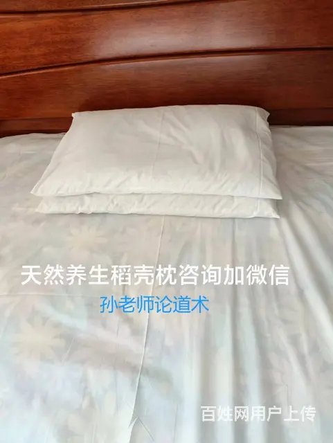 孙老师文外术 - 图片 1