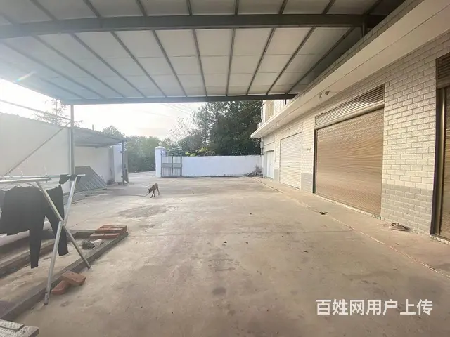 (房东直租)干杉黄金大道旁450平厂房出租，带小冷库 - 图片 4
