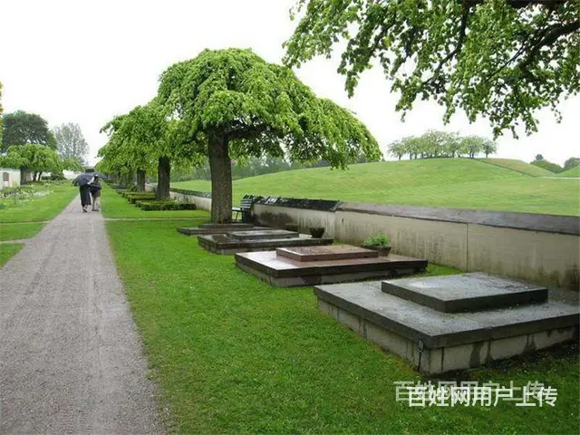 昆明青龙园电话 - 图片 4