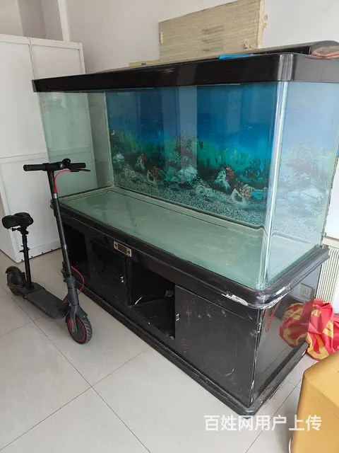 2米大型鱼缸给钱就拿走 - 图片