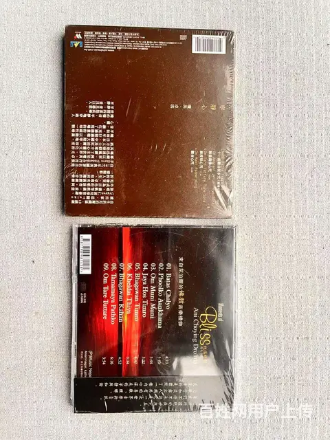 Ani Choying Drolma 琼英卓玛 - 图片 2