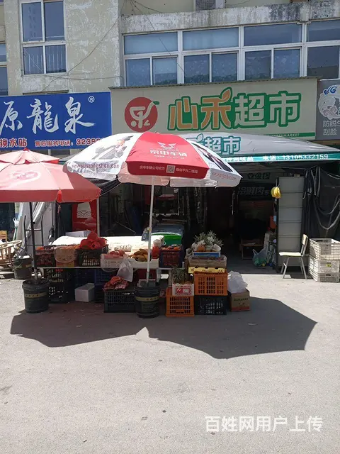 家中有事没时间照看 - 图片