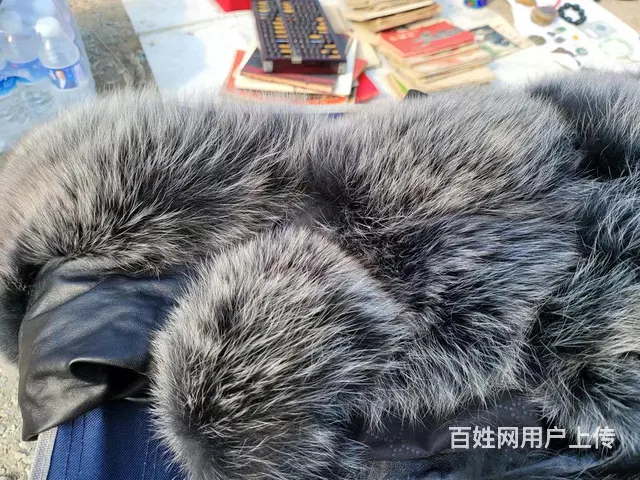 貂皮大衣一件出售 - 图片 6