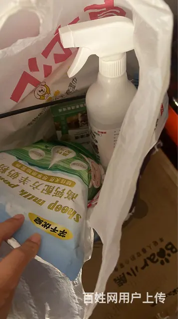 猫笼子及用品 - 图片 3