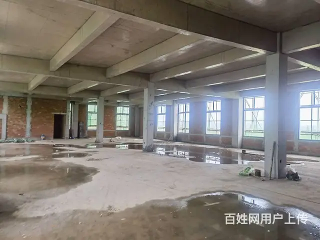 成都北门 50年产权 标准厂房 限时3千多 低价 现房出售 - 图片 2
