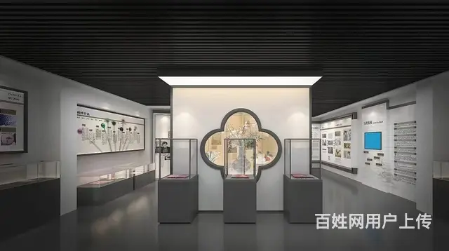 博物馆设计，博物馆展台，博物馆展柜，柜台设计制作 - 图片 6