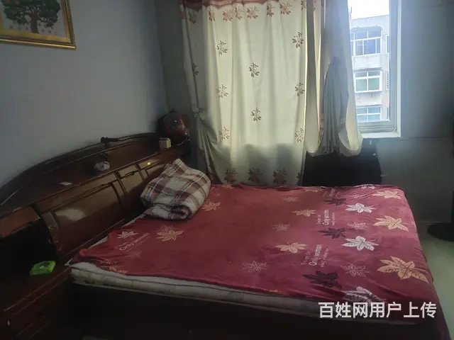 出租或出售 - 图片 6