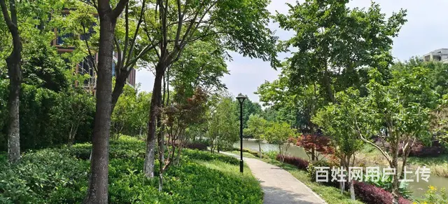 蒋村云起中心写字楼出租，西溪湿地北门附近 - 图片 6