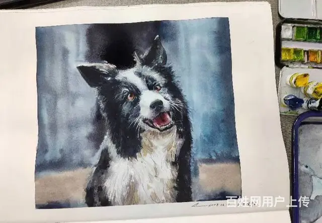 广州学画画的地方？水彩班报名享优惠 - 图片 6