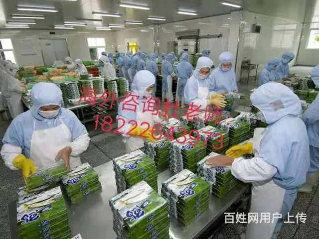 澳洲直招 （无费用）年薪60万华人雇主担保工签 - 图片 6