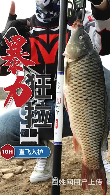 文登鱼竿美工设计 文登淘宝摄影 淘宝设计 美工设计 - 图片 2