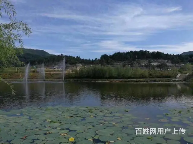 沈阳真山真水低价位公墓直销大伙房墓园，免费车看墓 - 图片 3