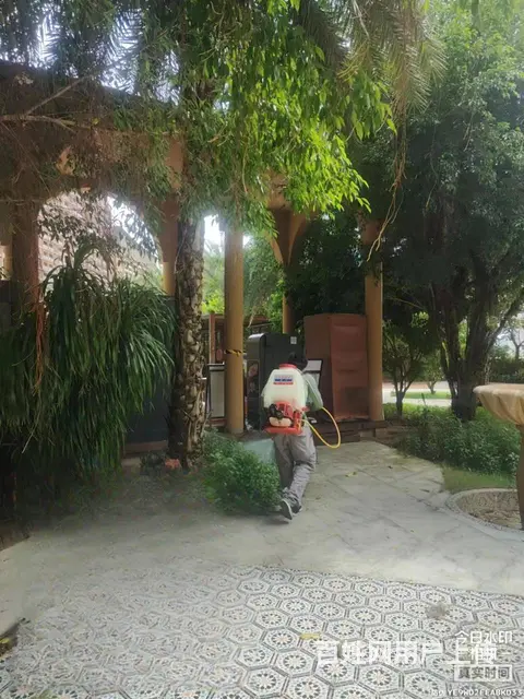 武汉江夏蔡甸新州灭臭虫灭蟑螂 除四害服务电话 价格 - 图片 2