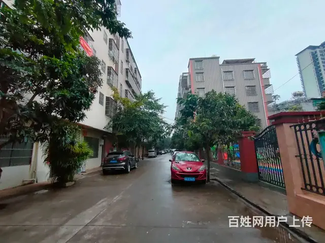（51旺铺推荐）府城1500平整栋电梯房出租 - 图片 9
