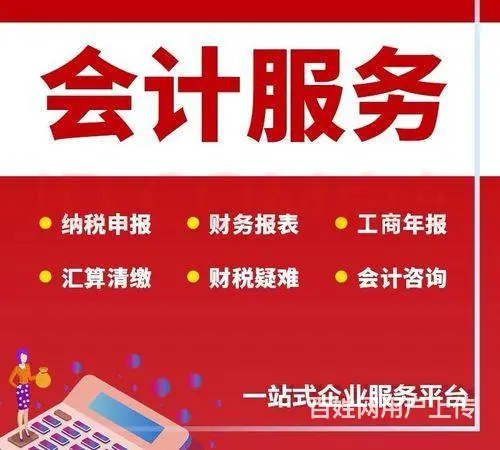 湖州税务申报代理/会计外派/乱账清理/财税咨询 - 图片