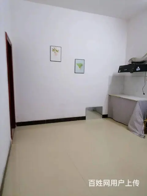 龙景街道莲塘社区现有多套自建房 - 图片 1