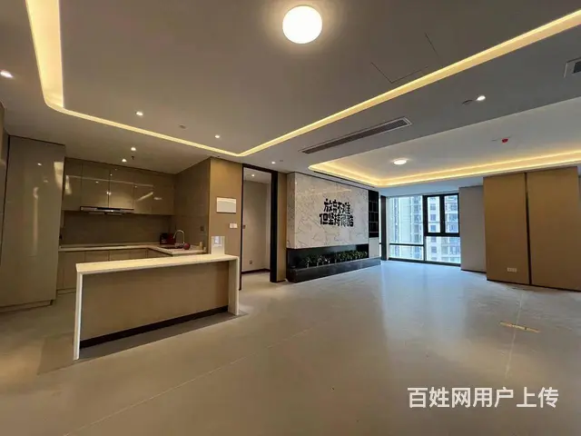 徐家棚 绿地铂瑞公馆2室2卫 巨厅 高层看江 接待 - 图片 2