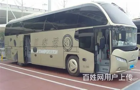 洛阳洛宁宠物托运（猫狗运输）活体邮寄快递2022/（今日推荐 - 图片 1