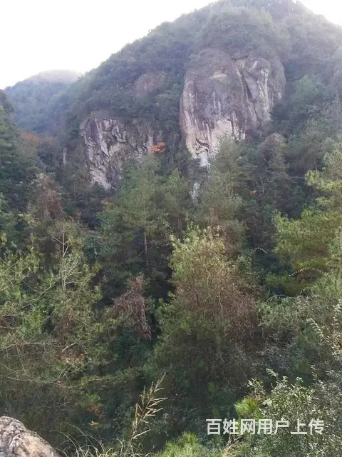 （极 致）武义大溪口的承包土地欲转让经营权！接手即可营业 - 图片 3